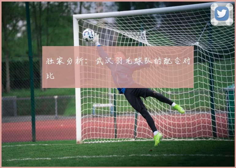 独家分析：武汉羽毛球队的配合对比