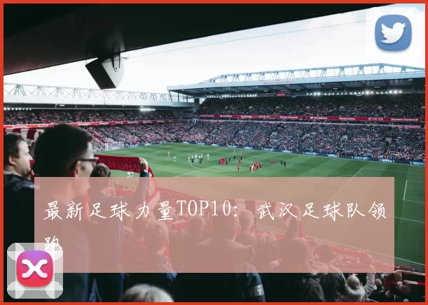最新足球力量TOP10：武汉足球队领跑