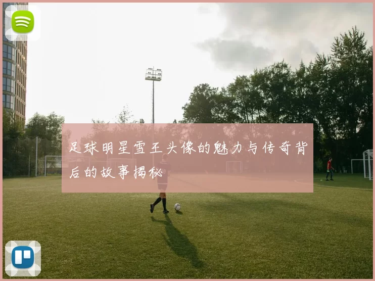 足球明星雪王头像的魅力与传奇背后的故事揭秘