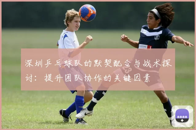深圳乒乓球队的默契配合与战术探讨：提升团队协作的关键因素