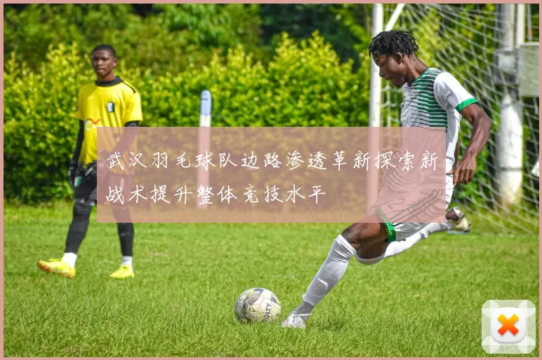 武汉羽毛球队边路渗透革新探索新战术提升整体竞技水平